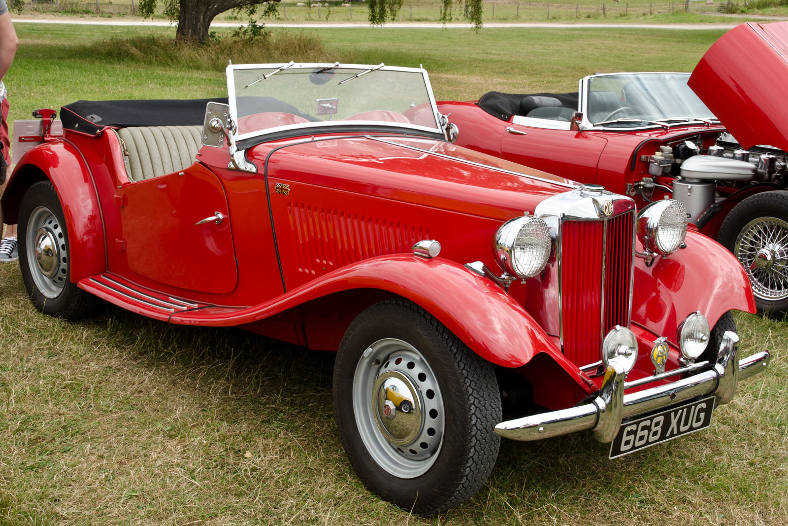 MG TC cars